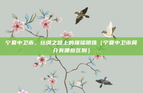 宁夏中卫市，丝绸之路上的璀璨明珠（宁夏中卫市简介有哪些区别）