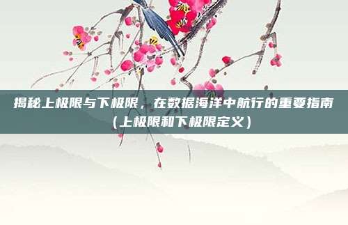 揭秘上极限与下极限,在数据海洋中航行的重要指南(上极限和下极限定义)