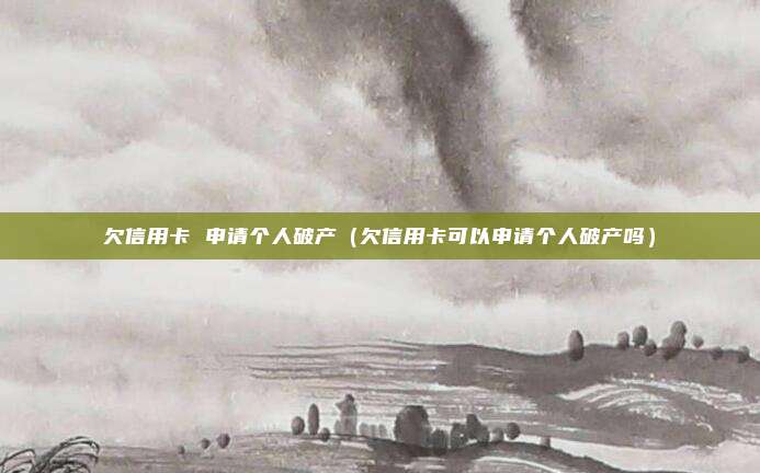 欠信用卡 申请个人破产（欠信用卡可以申请个人破产吗）