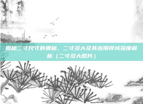 揭秘二寸尺寸的奥秘，二寸多大及其应用领域深度解析（二寸多大照片）