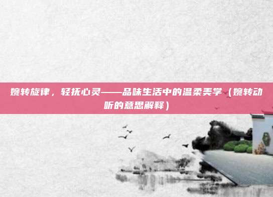 婉转旋律，轻抚心灵——品味生活中的温柔美学（婉转动听的意思解释）