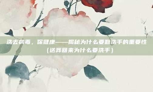 洗去病毒，保健康——揭秘为什么要勤洗手的重要性（送葬回来为什么要洗手）