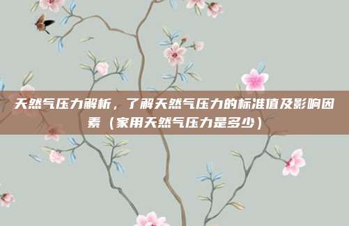 天然气压力解析，了解天然气压力的标准值及影响因素（家用天然气压力是多少）