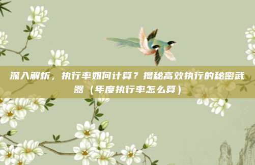 深入解析，执行率如何计算？揭秘高效执行的秘密武器（年度执行率怎么算）