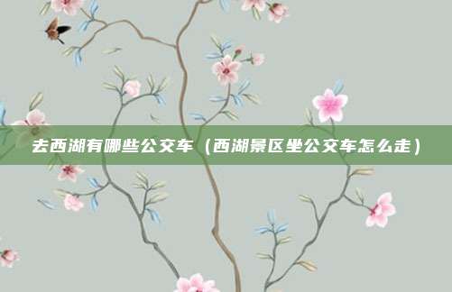 去西湖有哪些公交车（西湖景区坐公交车怎么走）