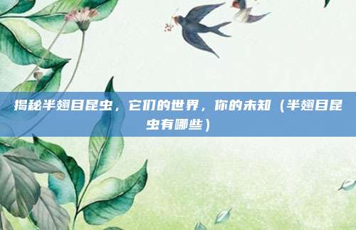 揭秘半翅目昆虫，它们的世界，你的未知（半翅目昆虫有哪些）
