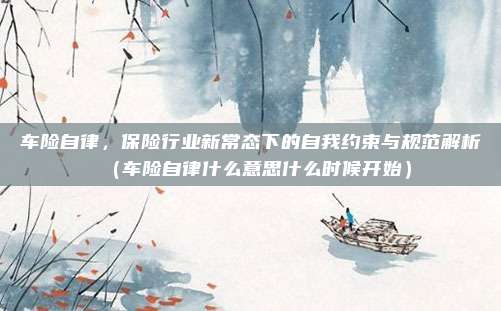 车险自律，保险行业新常态下的自我约束与规范解析（车险自律什么意思什么时候开始）