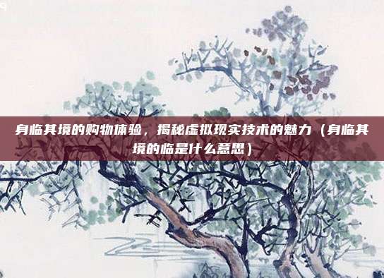 身临其境的购物体验，揭秘虚拟现实技术的魅力（身临其境的临是什么意思）