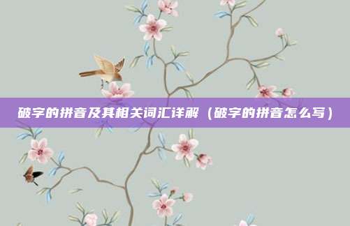破字的拼音及其相关词汇详解（破字的拼音怎么写）