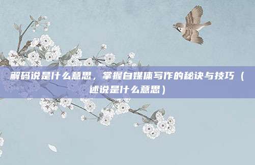解码说是什么意思，掌握自媒体写作的秘诀与技巧（述说是什么意思）