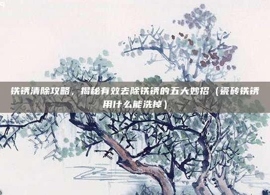 铁锈清除攻略,揭秘有效去除铁锈的五大妙招(瓷砖铁锈用什么能洗掉)