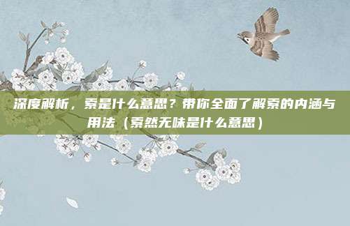 深度解析，索是什么意思？带你全面了解索的内涵与用法（索然无味是什么意思）