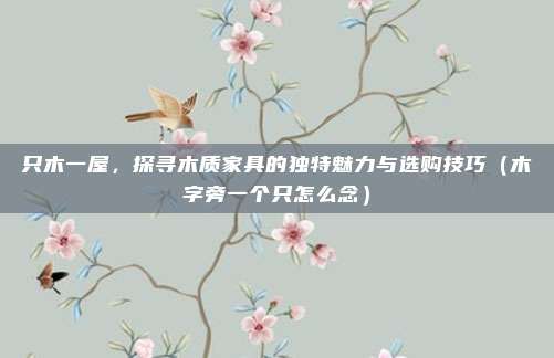 只木一屋，探寻木质家具的独特魅力与选购技巧（木字旁一个只怎么念）