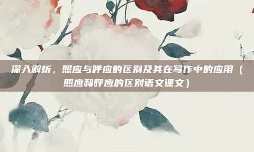 深入解析，照应与呼应的区别及其在写作中的应用（照应和呼应的区别语文课文）