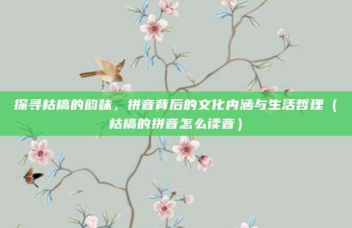 探寻枯槁的韵味，拼音背后的文化内涵与生活哲理（枯槁的拼音怎么读音）