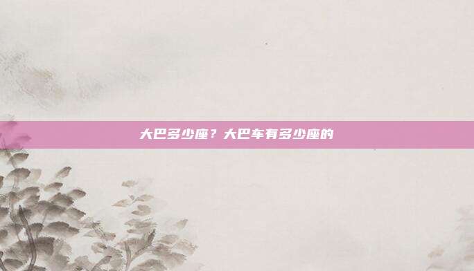 大巴多少座?大巴车有多少座的