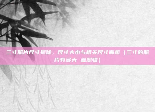 三寸照片尺寸揭秘，尺寸大小与相关尺寸解析（三寸的照片有多大 参照物）