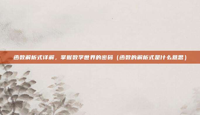 函数解析式详解，掌握数学世界的密码（函数的解析式是什么意思）