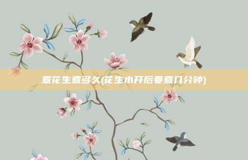 煮花生煮多久(花生水开后要煮几分钟)