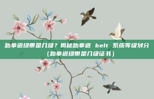跆拳道绿带是几级？揭秘跆拳道 belt 系统等级划分（跆拳道绿带是几级证书）