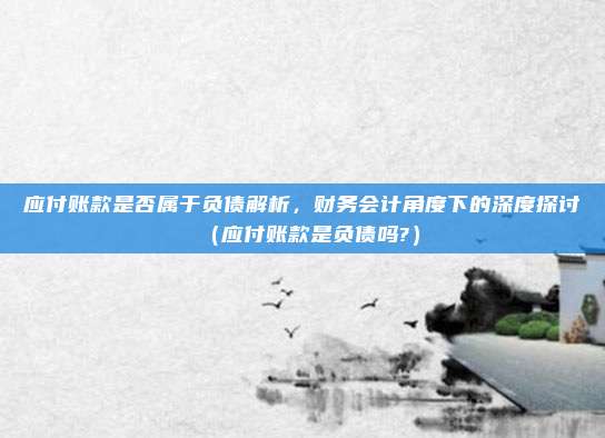 应付账款是否属于负债解析，财务会计角度下的深度探讨（应付账款是负债吗?）