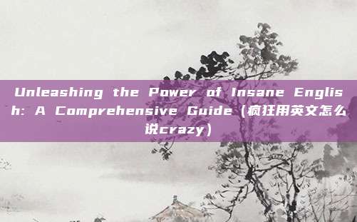 Unleashing the Power of Insane English: A Comprehensive Guide（疯狂用英文怎么说crazy）