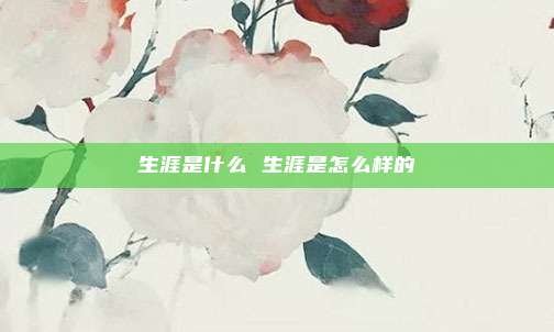 生涯是什么 生涯是怎么样的