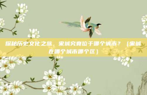 探秘历史文化之旅，宋城究竟位于哪个城市？（宋城在哪个城市哪个区）