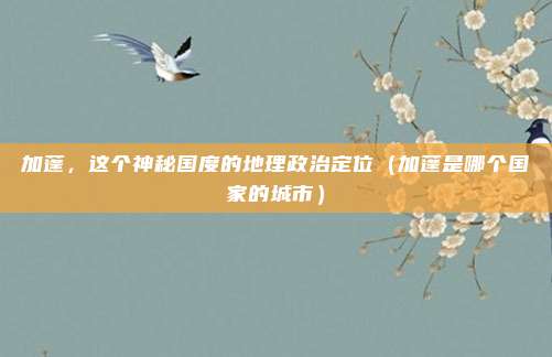 加蓬，这个神秘国度的地理政治定位（加蓬是哪个国家的城市）
