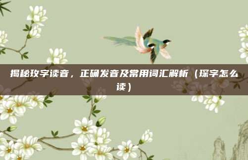 揭秘玫字读音，正确发音及常用词汇解析（琛字怎么读）
