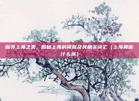 探寻上海之美，揭秘上海的简称及其相关词汇（上海简称什么城）