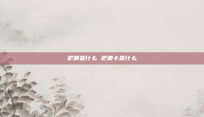 吧唧是什么 吧唧卡是什么