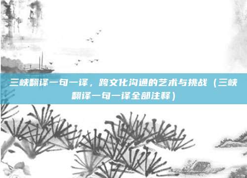 三峡翻译一句一译，跨文化沟通的艺术与挑战（三峡翻译一句一译全部注释）