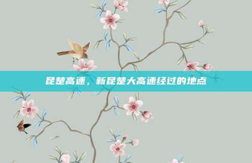 昆楚高速,新昆楚大高速经过的地点
