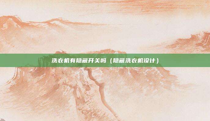 洗衣机有隐藏开关吗(隐藏洗衣机设计)