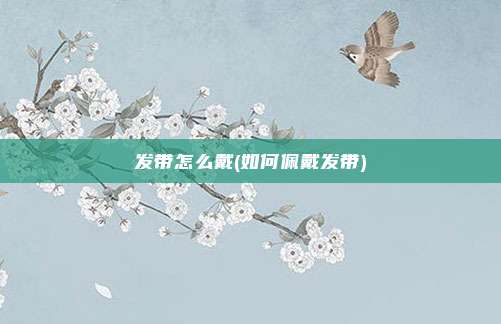 发带怎么戴(如何佩戴发带)