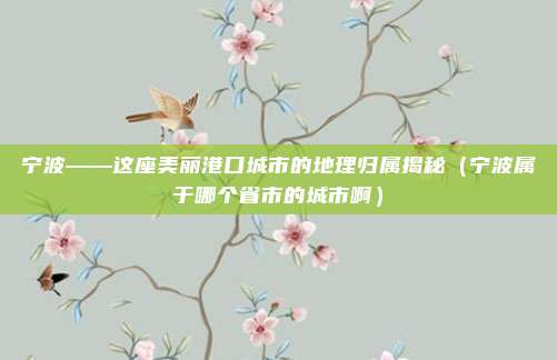 宁波——这座美丽港口城市的地理归属揭秘(宁波属于哪个省市的城市啊)