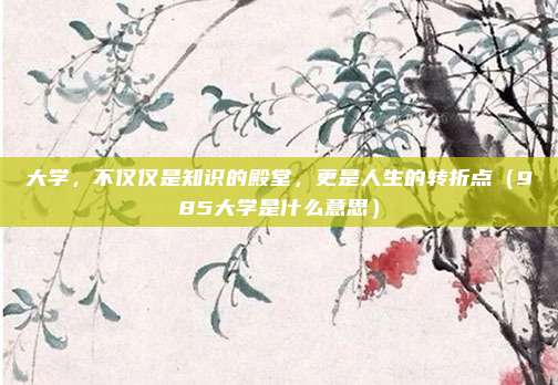 大学,不仅仅是知识的殿堂,更是人生的转折点(985大学是什么意思)