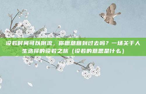 设若时间可以倒流,你愿意回到过去吗?一场关于人生选择的设若之旅(设若的意思是什么)