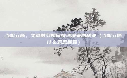 当机立断,关键时刻如何快速决策的秘诀(当机立断什么意思解释)