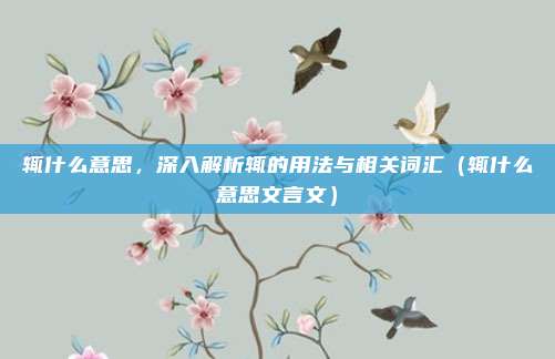 辄什么意思，深入解析辄的用法与相关词汇（辄什么意思文言文）