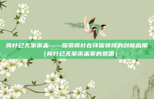 荷叶已无擎雨盖——探索荷叶在环保领域的创新应用（荷叶已无擎雨盖擎的意思）