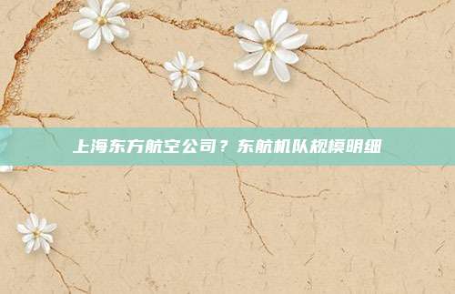 上海东方航空公司?东航机队规模明细