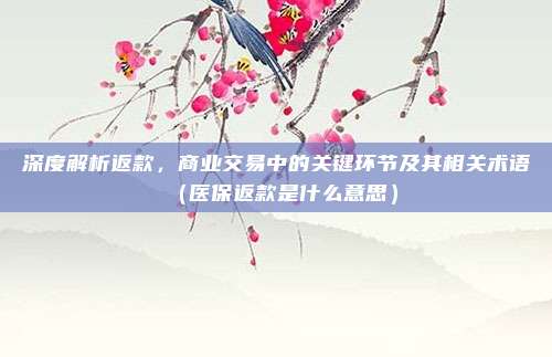 深度解析返款,商业交易中的关键环节及其相关术语(医保返款是什么意思)