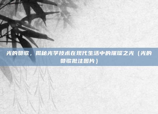 光的赞歌,揭秘光学技术在现代生活中的璀璨之光(光的赞歌批注图片)