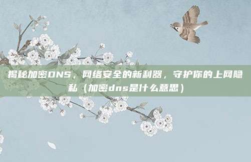 揭秘加密DNS,网络安全的新利器,守护你的上网隐私(加密dns是什么意思)