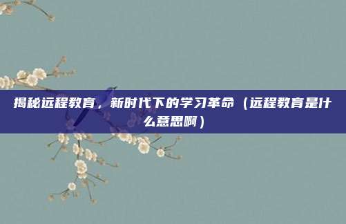 揭秘远程教育,新时代下的学习革命(远程教育是什么意思啊)