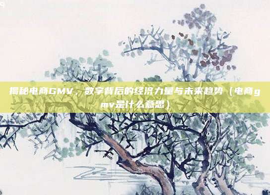 揭秘电商GMV,数字背后的经济力量与未来趋势(电商gmv是什么意思)