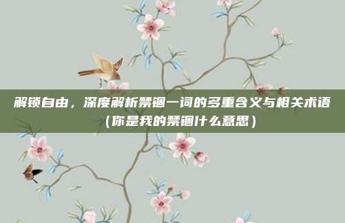 解锁自由,深度解析禁锢一词的多重含义与相关术语(你是我的禁锢什么意思)