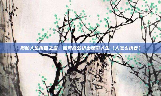 揭秘人生拼图之道,如何高效拼出精彩人生(人怎么拼音)